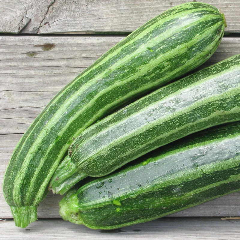 Courgette Cocozelle	